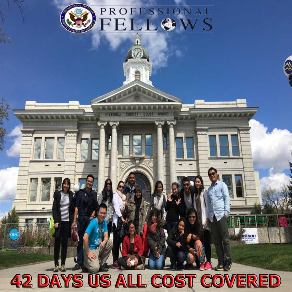 YSEALI Professional Fellows Civic Engagement Program
